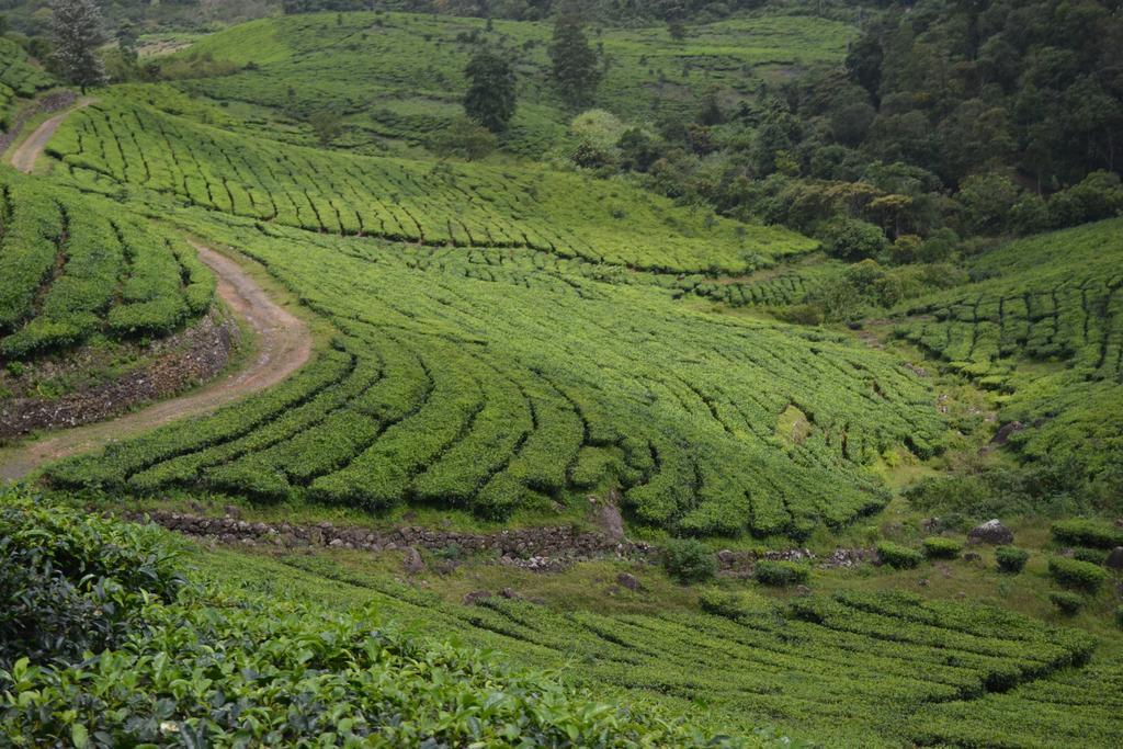 Ferndale Homestay Thekkady Dış mekan fotoğraf