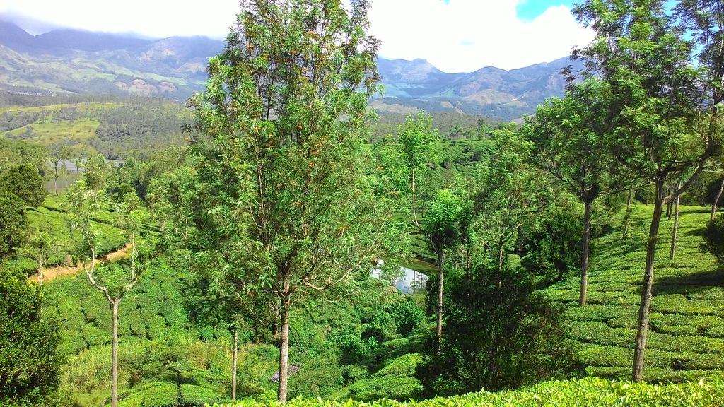 Ferndale Homestay Thekkady Dış mekan fotoğraf