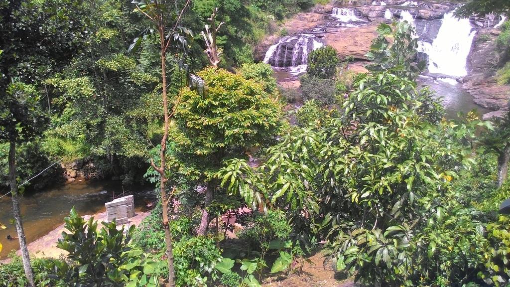 Ferndale Homestay Thekkady Dış mekan fotoğraf